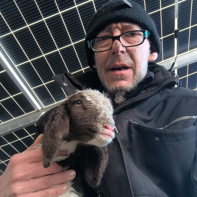 Schäfer mit Lamm (c) Alois Raith Schäfer hält ein Lamm im einer Solarfeld